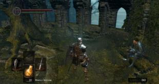 Walkthrough of Dark Souls Fullstendig gjennomgang av spillet dark souls